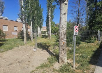 El PSOE pregunta a la Junta cuándo pretende rehabilitar la parte del parque Los Jardines de Peñaranda que es de su competencia