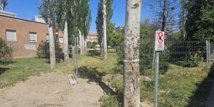 El PSOE pregunta a la Junta cuándo pretende rehabilitar la parte del parque Los Jardines de Peñaranda que es de su competencia