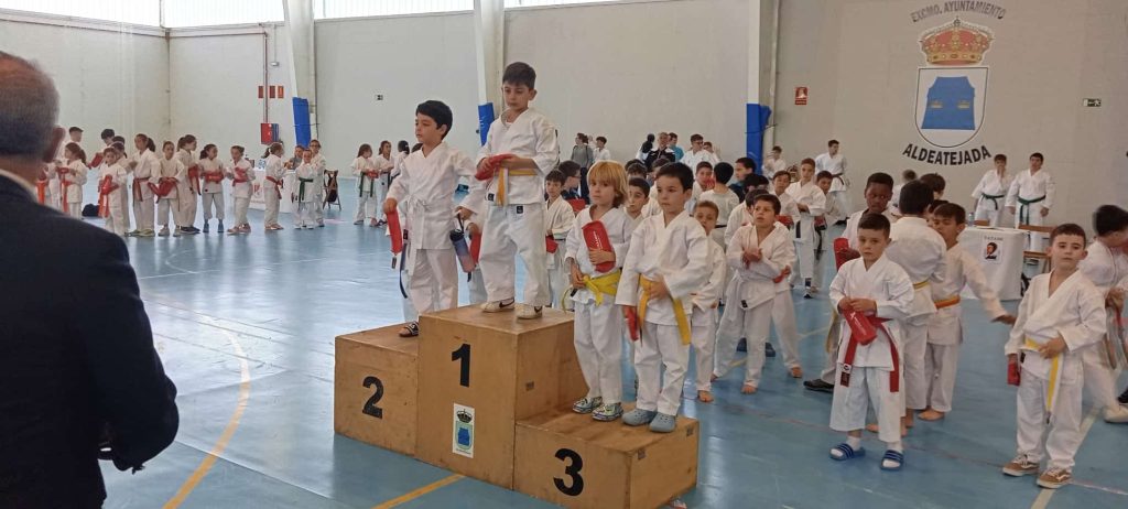 karate 100