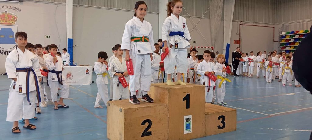 karate 101