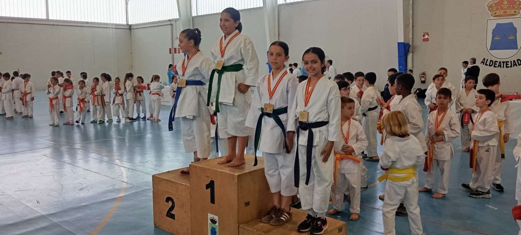 karate 105