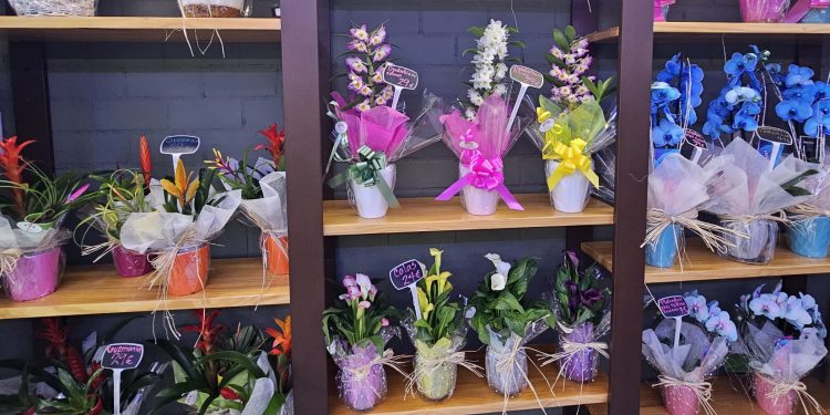 Floristería Martina: el paraíso de las flores y las plantas donde encontrar el regalo ideal que una madre merece en su día especial