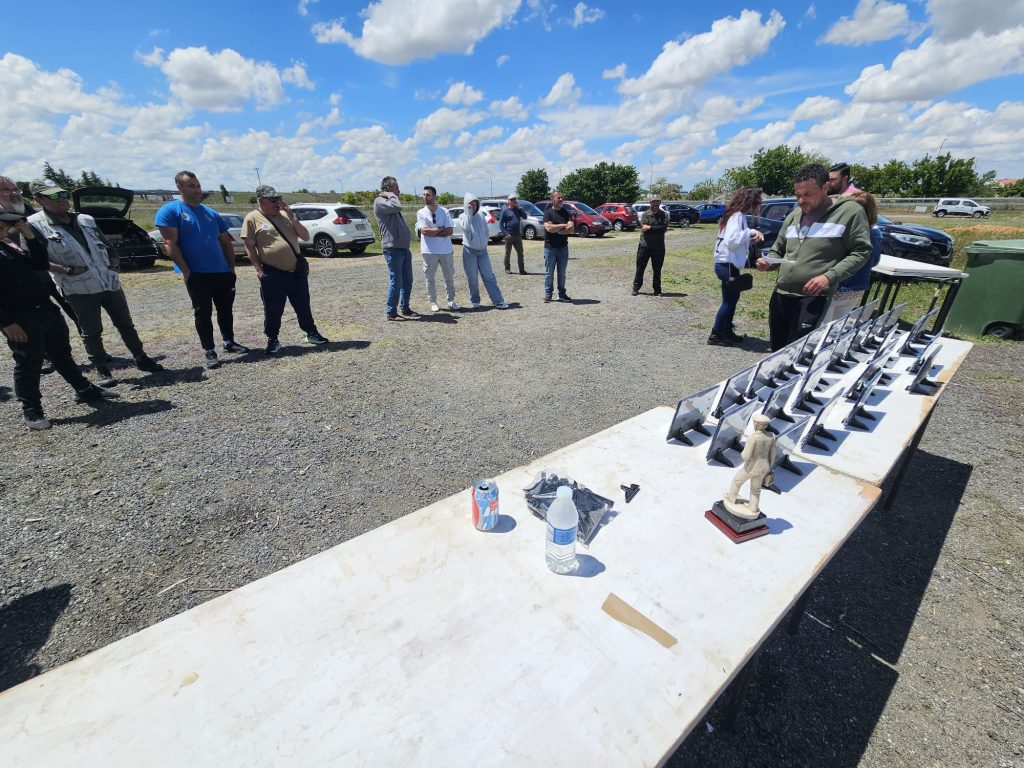 silvestrismo 6