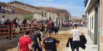 Romero y Giraldón llevan la emoción a las calles de Cantalpino en la IX edición del Toro de San Isidro con gran respuesta del público