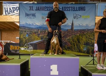 Más triunfos internacionales para los bóxer de los Infanzones con Jessica y Nesta coronando el pódium en el Jahressieger Suiza