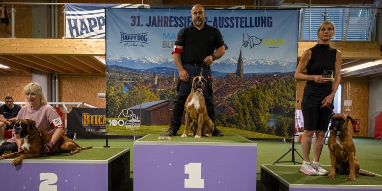 Más triunfos internacionales para los bóxer de los Infanzones con Jessica y Nesta coronando el pódium en el Jahressieger Suiza