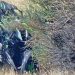 Un accidente de moto en la A-50, a su paso por Peñaranda, deja herida a su conductora, que ha sido trasladada al Hospital