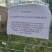 Petición para no alimentar a los gatos en la zona del centro de salud de Peñaranda debido a la prohibición que recoge la ley
