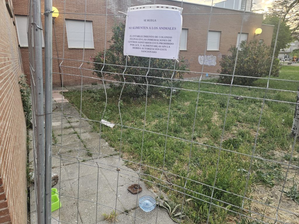 cs2