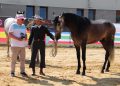 La familia peñarandina Serna triunfa con la yeguada Álora en el IV concurso morfológico funcional EcueTrescasas 2026