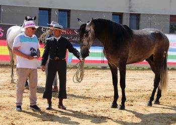La familia peñarandina Serna triunfa con la yeguada Álora en el IV concurso morfológico funcional EcueTrescasas 2026