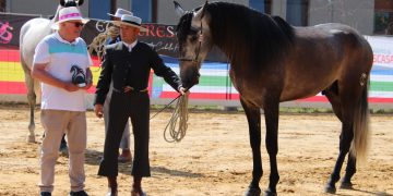 La familia peñarandina Serna triunfa con la yeguada Álora en el IV concurso morfológico funcional EcueTrescasas 2026