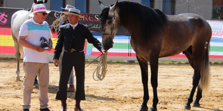 La familia peñarandina Serna triunfa con la yeguada Álora en el IV concurso morfológico funcional EcueTrescasas 2026