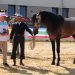 La familia peñarandina Serna triunfa con la yeguada Álora en el IV concurso morfológico funcional EcueTrescasas 2026