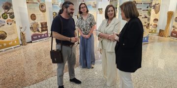 Nuestra forma de vida contada a través de los nidos: la nueva exposición que puede verse en Peñaranda hasta el 18 de junio