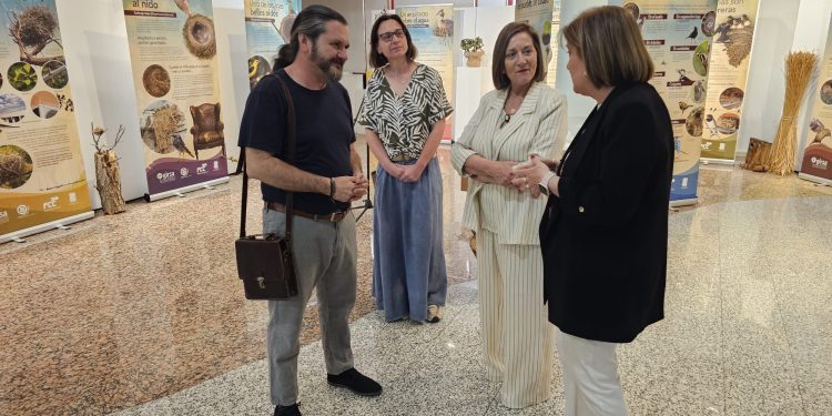 Nuestra forma de vida contada a través de los nidos: la nueva exposición que puede verse en Peñaranda hasta el 18 de junio
