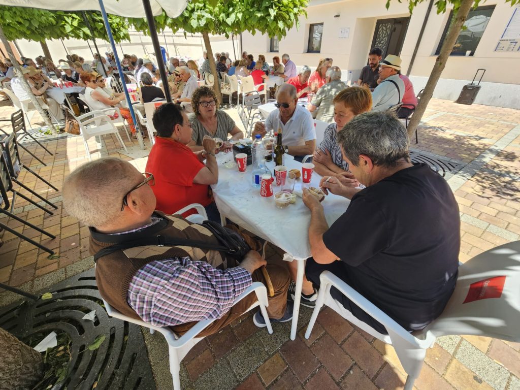 mayores 241