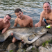 Tres pescadores peñarandinos capturan un espectacular siluro de 2,13 metros en aguas del río Tajo a su paso por Extremadura