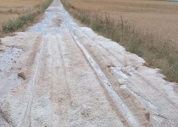 El granizo deja en Tordillos pérdidas de hasta el 100 por 100 en cultivos como guisantes y colzas y graves daños en cereal