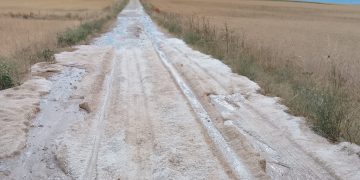 El granizo deja en Tordillos pérdidas de hasta el 100 por 100 en cultivos como guisantes y colzas y graves daños en cereal