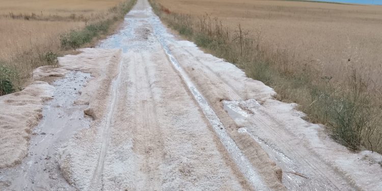 El granizo deja en Tordillos pérdidas de hasta el 100 por 100 en cultivos como guisantes y colzas y graves daños en cereal