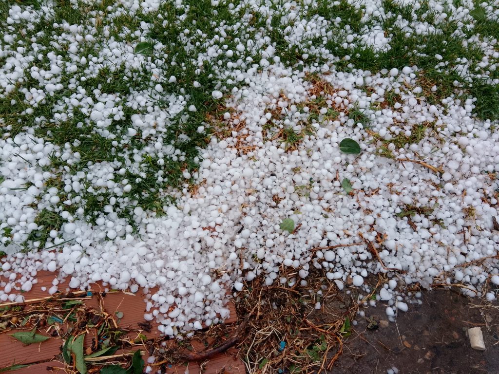 tormenta 6