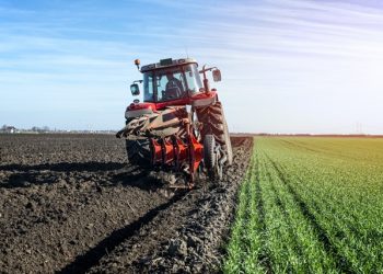 «Tractotauros» llega este sábado a Palaciosrubios como un punto de encuentro para amantes del campo y la maquinaria agrícola