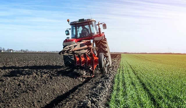 «Tractotauros» llega este sábado a Palaciosrubios como un punto de encuentro para amantes del campo y la maquinaria agrícola
