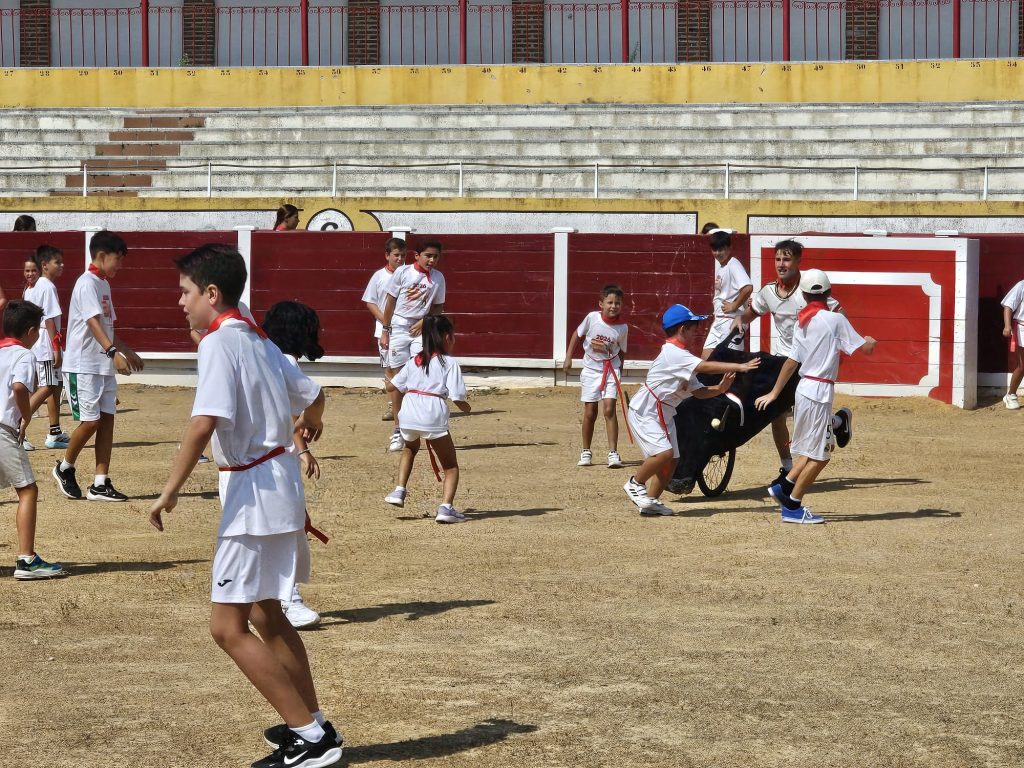 CID 13