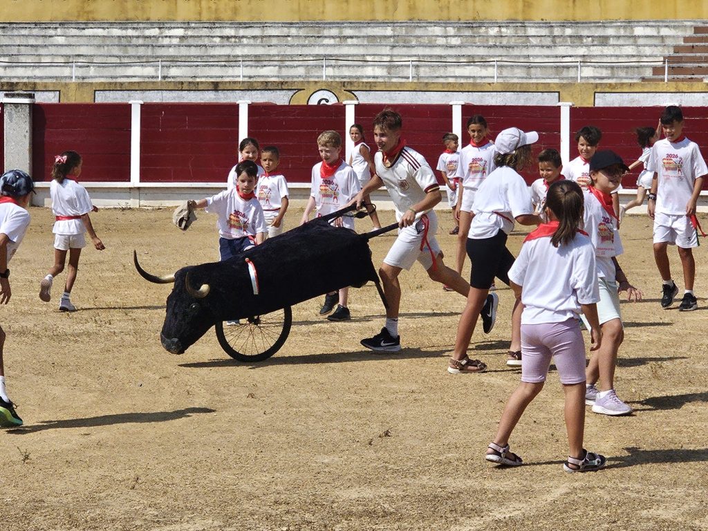 CID 14