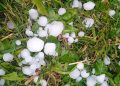 Paradinas y Rágama se llevan la peor parte de la granizada con una gran tormenta que deja daños en remolachas y cereales