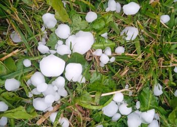 Paradinas y Rágama se llevan la peor parte de la granizada con una gran tormenta que deja daños en remolachas y cereales