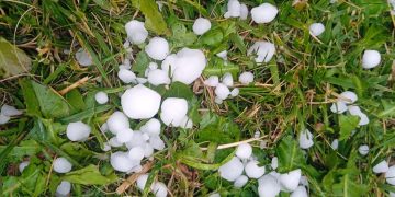 Paradinas y Rágama se llevan la peor parte de la granizada con una gran tormenta que deja daños en remolachas y cereales