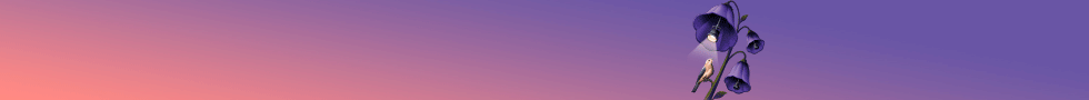 JCYL 