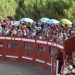 La exhibición de recortes, el Grand Prix y la capea popular llenan de emoción la plaza de toros de Alaraz en una tarde de fiesta