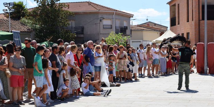 Éxito de público en el IV Mercado Tradicional Villa Áurea de Villoria como antesala a las fiestas patronales de la Vega