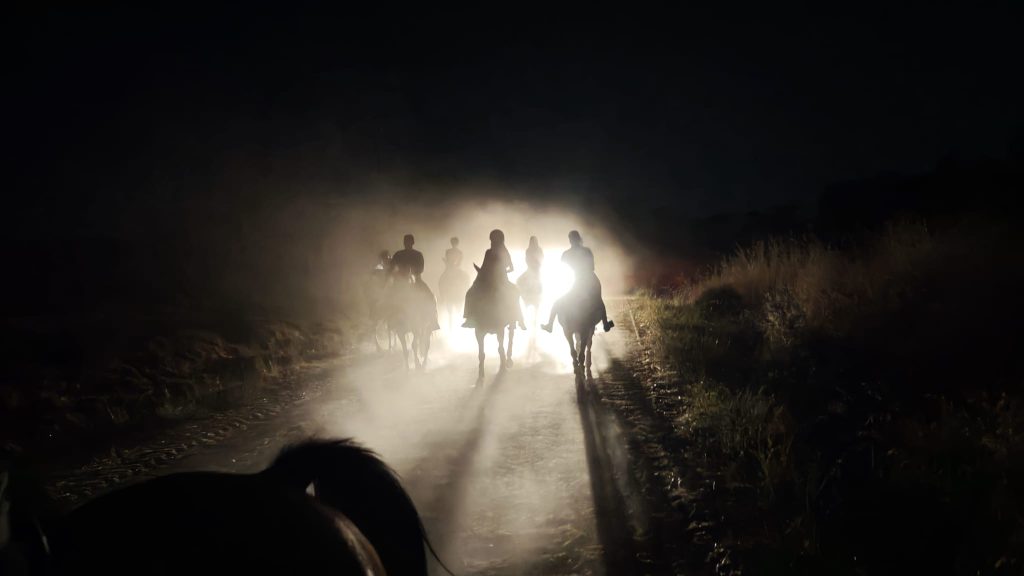 caballos 13
