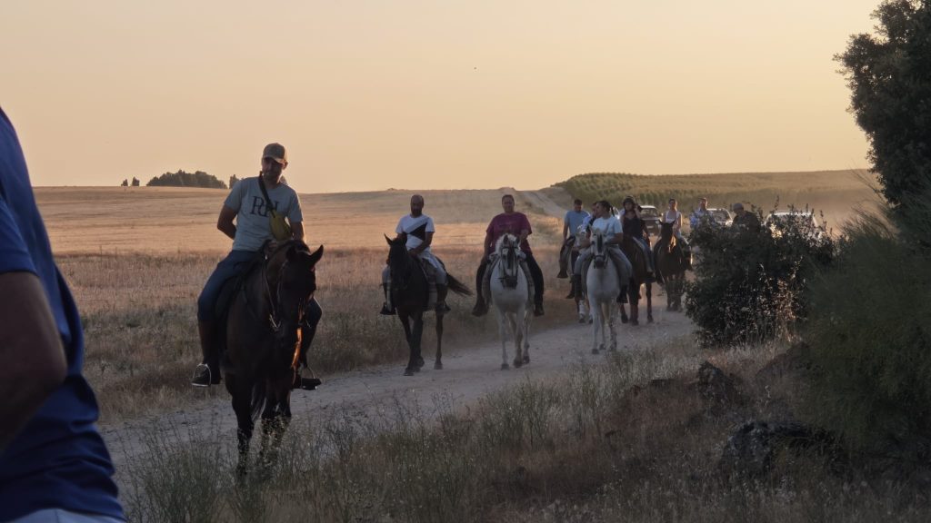 caballos 16