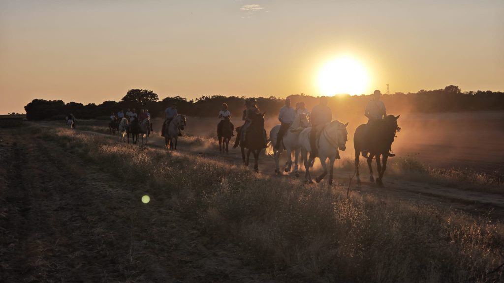 caballos 17