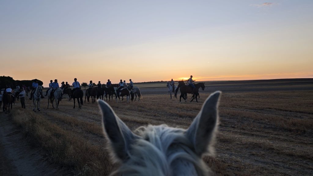 caballos 19