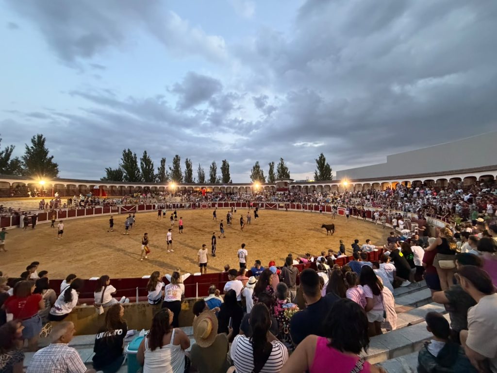 cortes 17