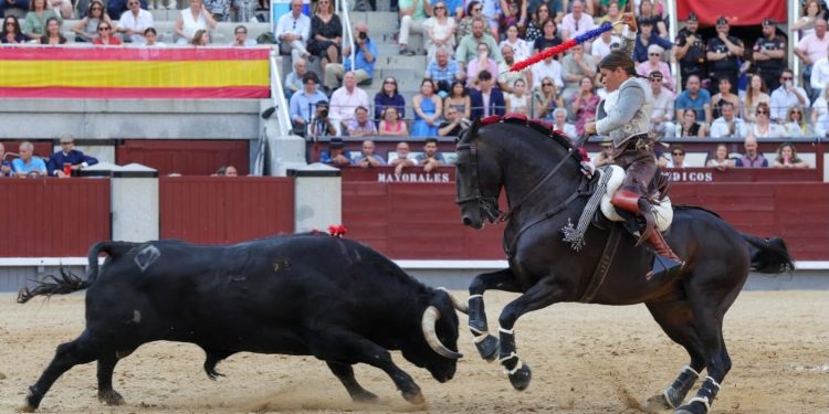 La rejoneadora Léa Vicens sustituirá a Sergio Pérez de Gregorio en la corrida mixta del sábado de ferias en Peñaranda