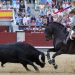 La rejoneadora Léa Vicens sustituirá a Sergio Pérez de Gregorio en la corrida mixta del sábado de ferias en Peñaranda