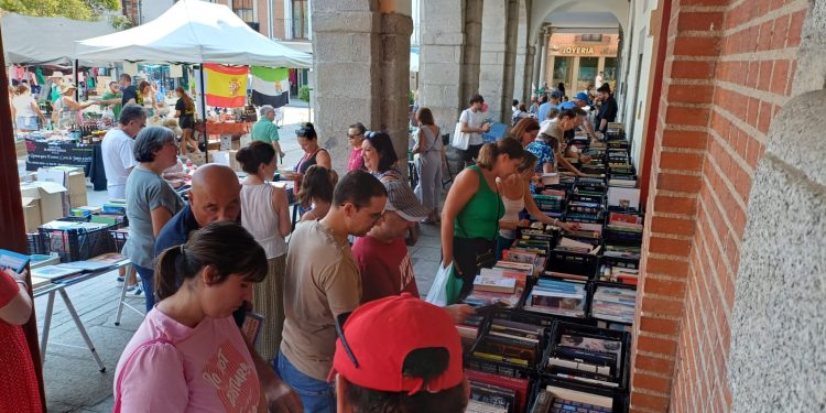 El Mercadillo de Libros Olvidados busca dar una segunda vida a cientos de ejemplares en Peñaranda con gran éxito de público
