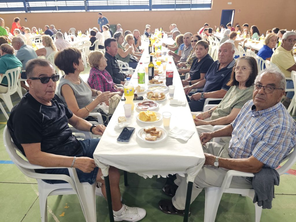 mayores 260