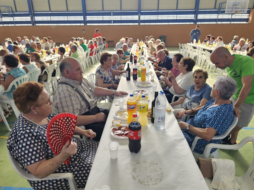 mayores 262