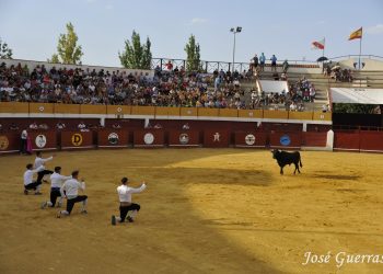 Susto en Macotera con la cogida a Manuel Jiménez en el concurso de recortes goyesco que tuvo que ser operado en la misma plaza