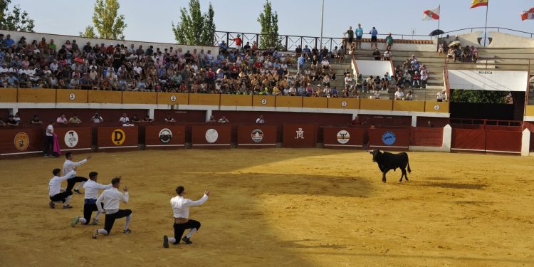 Susto en Macotera con la cogida a Manuel Jiménez en el concurso de recortes goyesco que tuvo que ser operado en la misma plaza