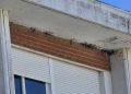 Quejas por la destrucción de una colonia de aviones comunes en el edificio del antiguo instituto Tomás y Valiente de Peñaranda
