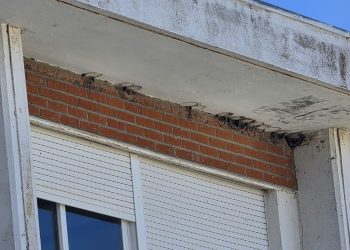 Quejas por la destrucción de una colonia de aviones comunes en el edificio del antiguo instituto Tomás y Valiente de Peñaranda